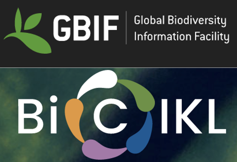 Bicikl
