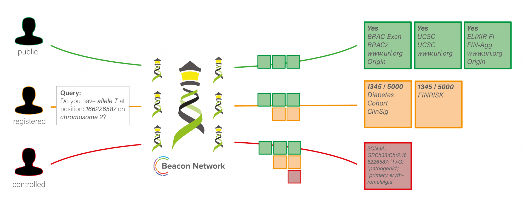 Beacon AAI Artboard